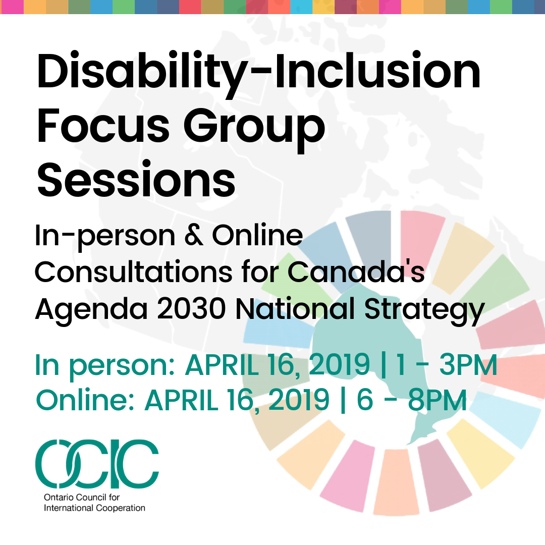 Ocics Consultation Disability Inclusion Focus Group Sessions